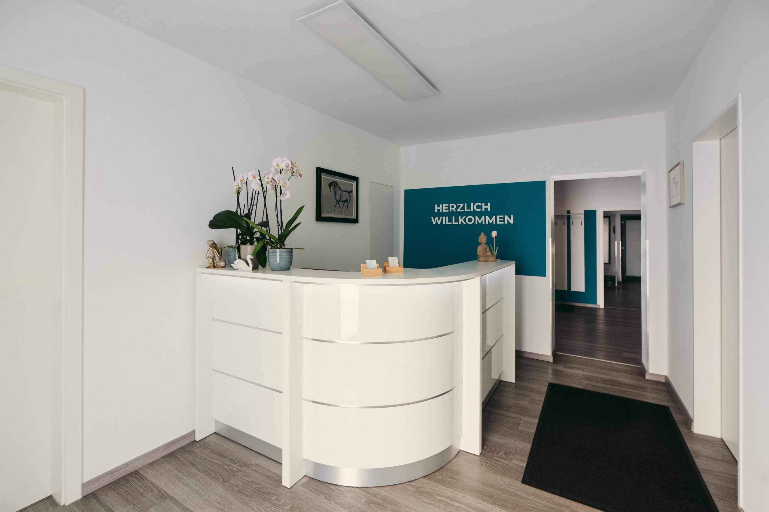 Empfangstresen mit Pflanzen und türkisfarbener Wand in der Praxisgemeinschaft in Alt-Hürth.