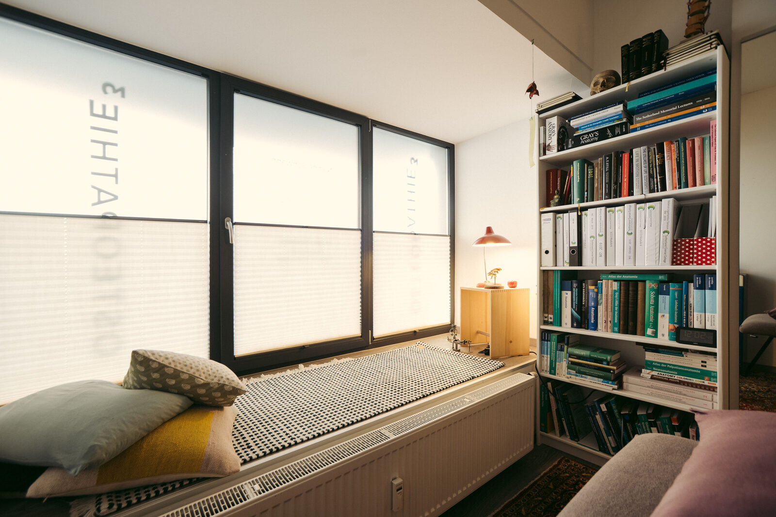 Fensterbank und Fachbibliothek im Behandlungsraum