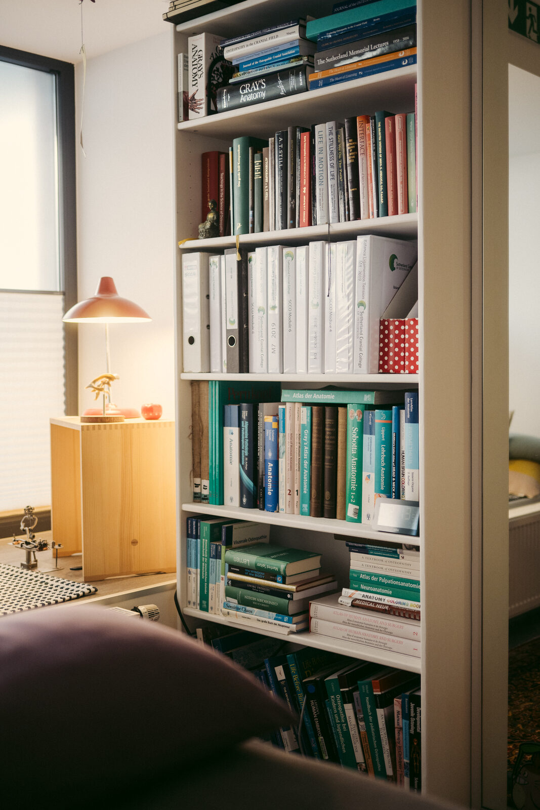 Fachbibliothek und Behandlungsliege im Praxisraum