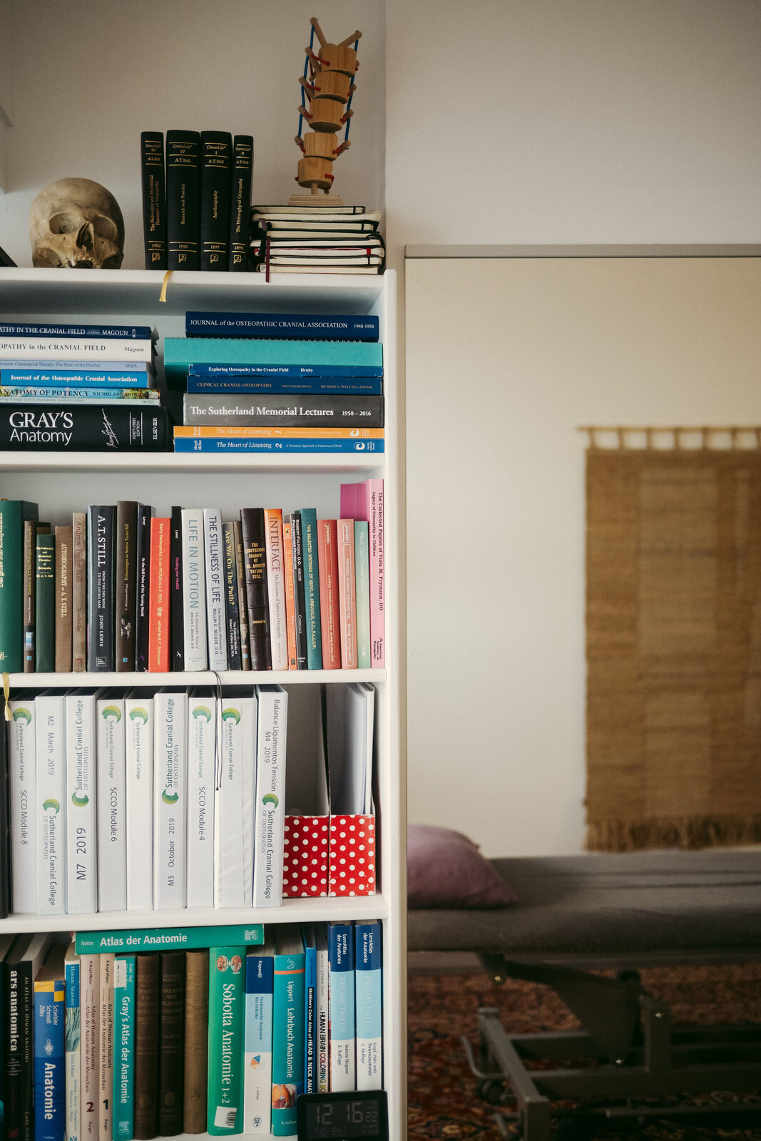 Fachbücher zur Osteopathie im Behandlungsraum